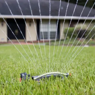 thumbnail for publication: Establishing a Lawn